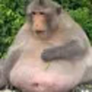 Meet your Posher, Nathan